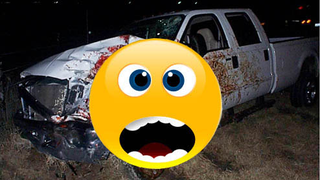 NSFW: Ford F-350 Super Duty Versus A Horse